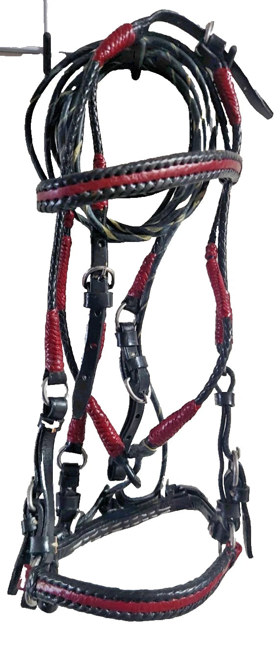 Bridle Show set