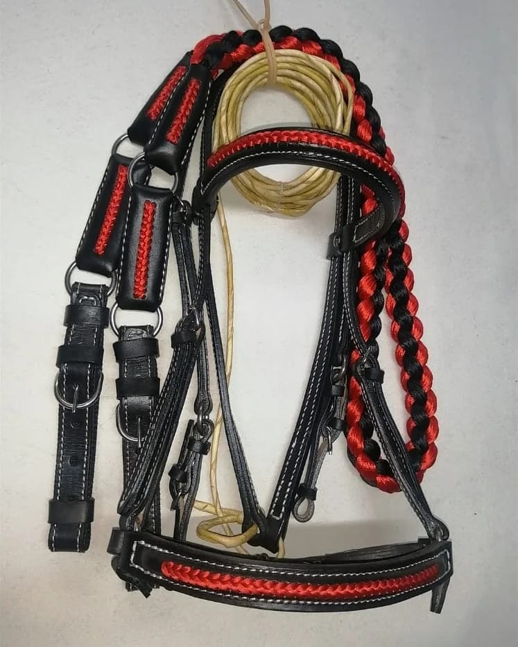 Bridle Set Premium 01