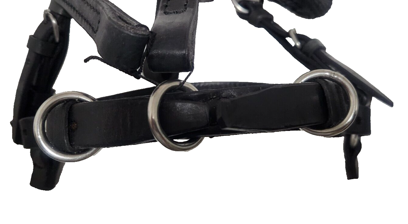 Bridle Set Bit Less 06