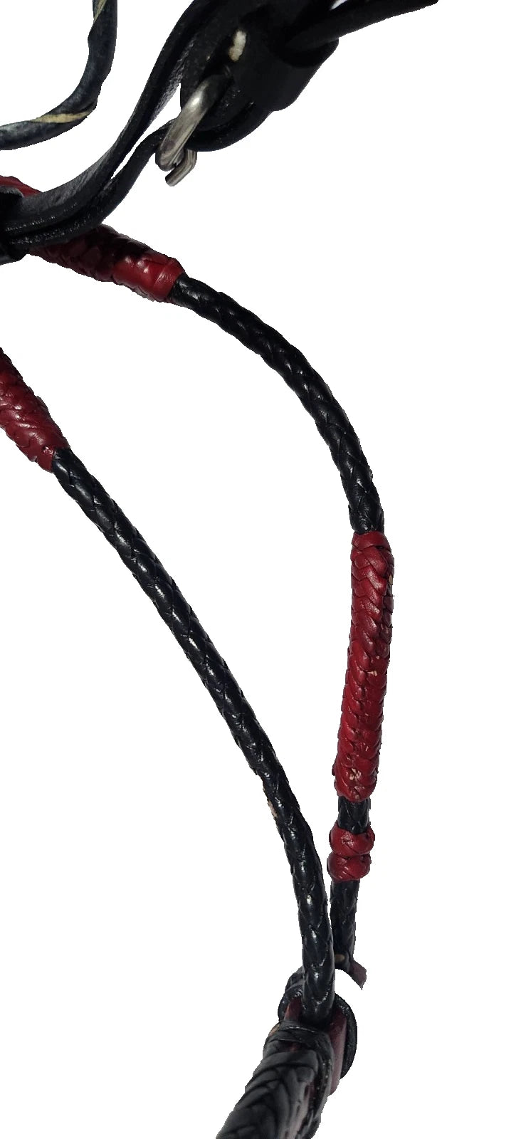 Bridle Show set
