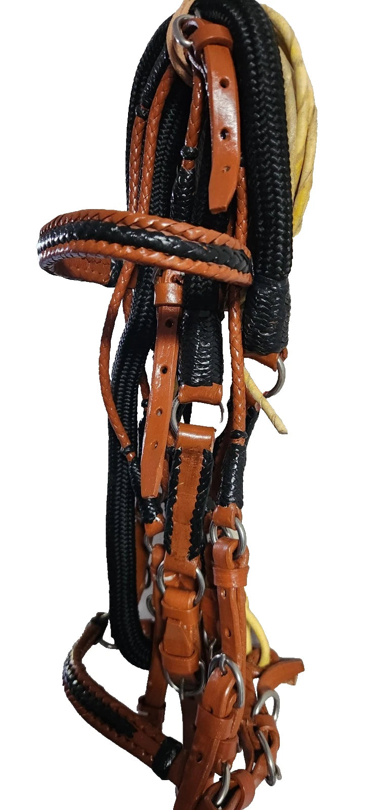 Bridle Show set