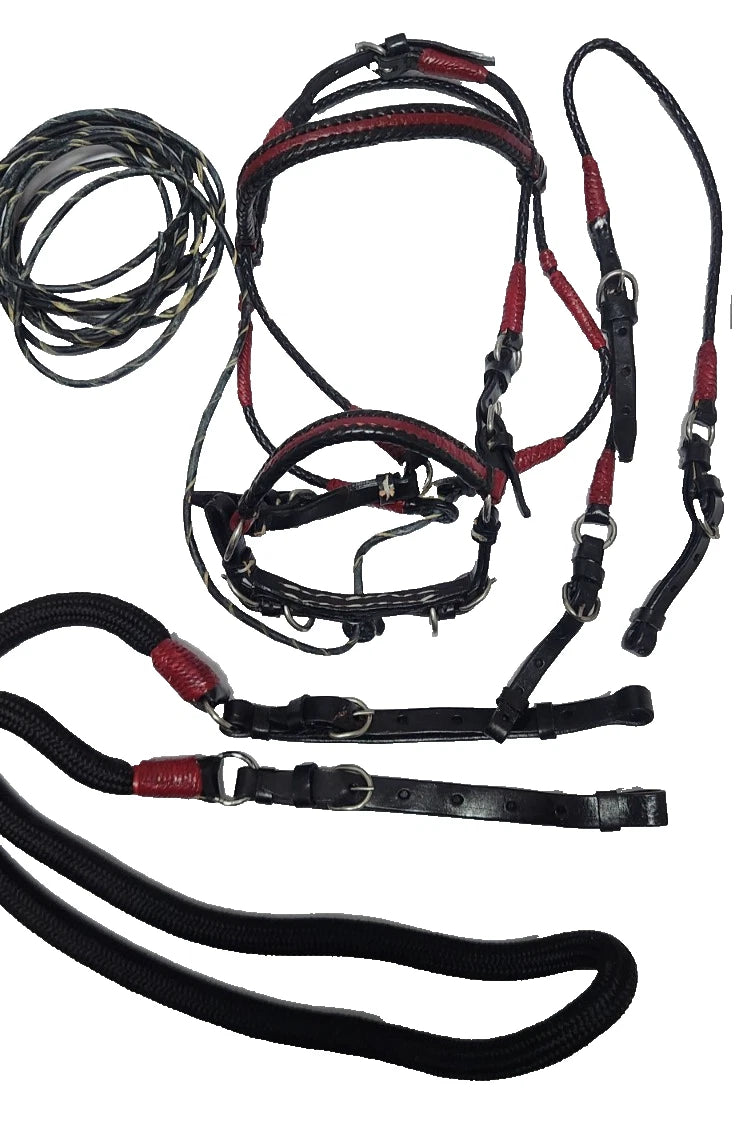Bridle Show set