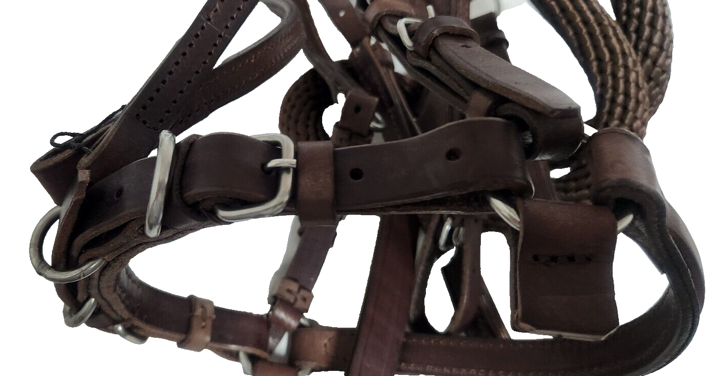 Bridle Set Bit Less 06