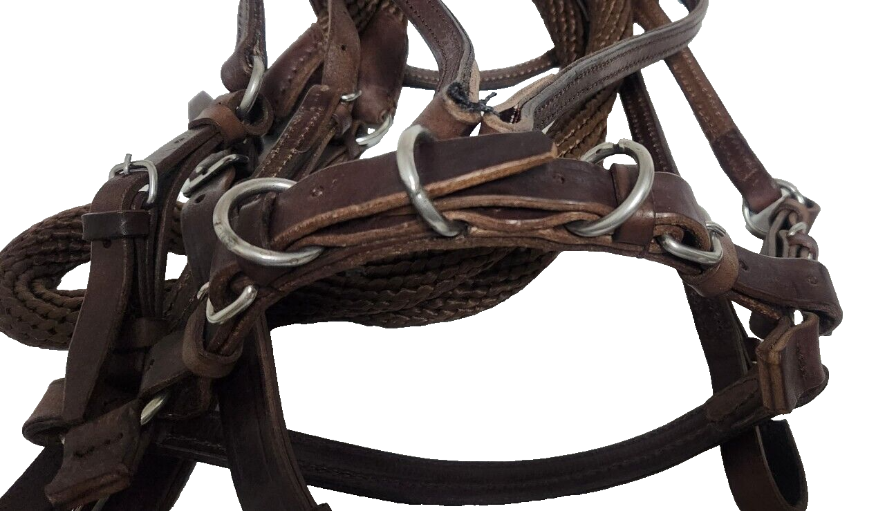 Bridle Set Bit Less 06