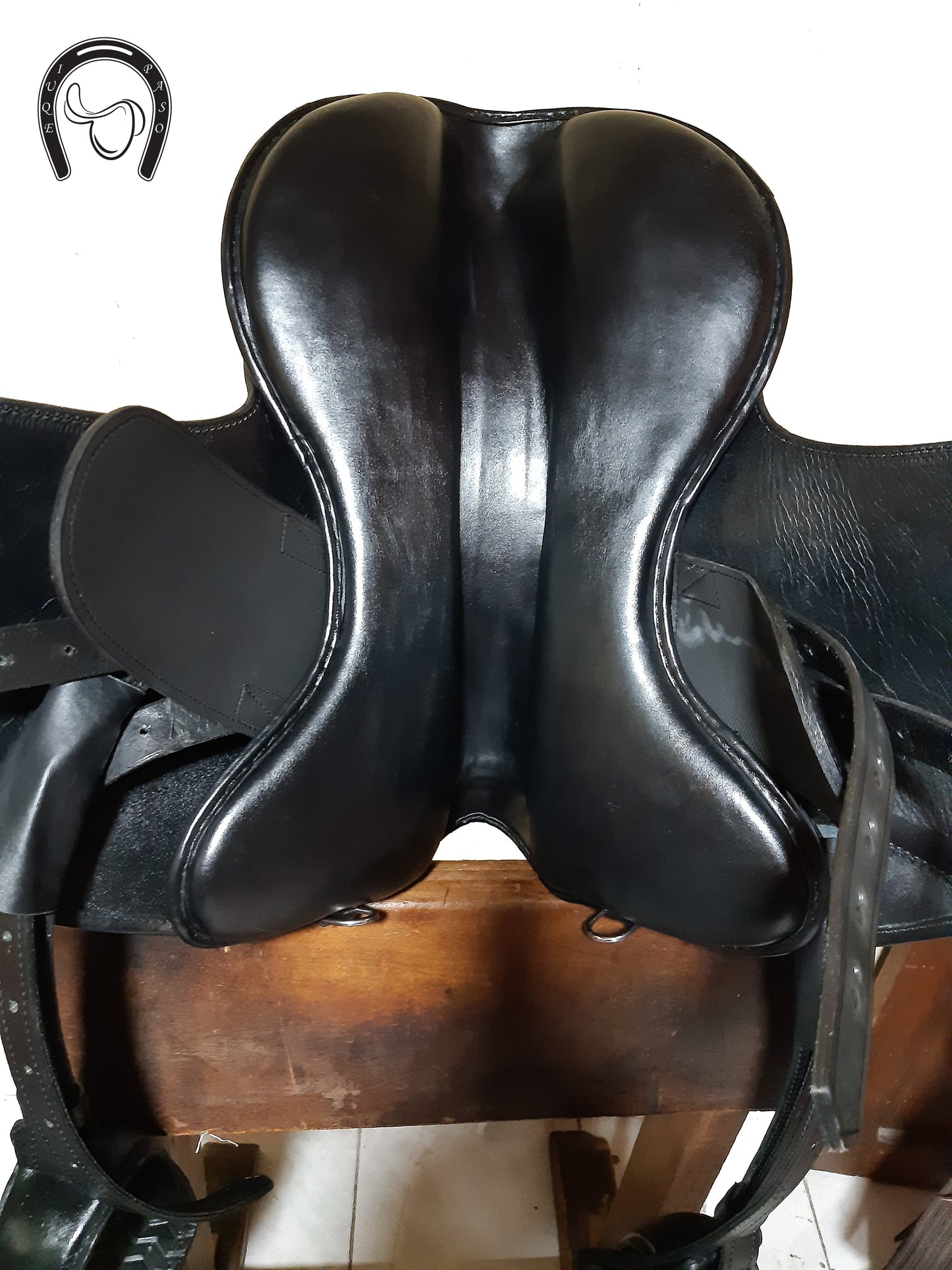 Saddle Show or Endurance 002