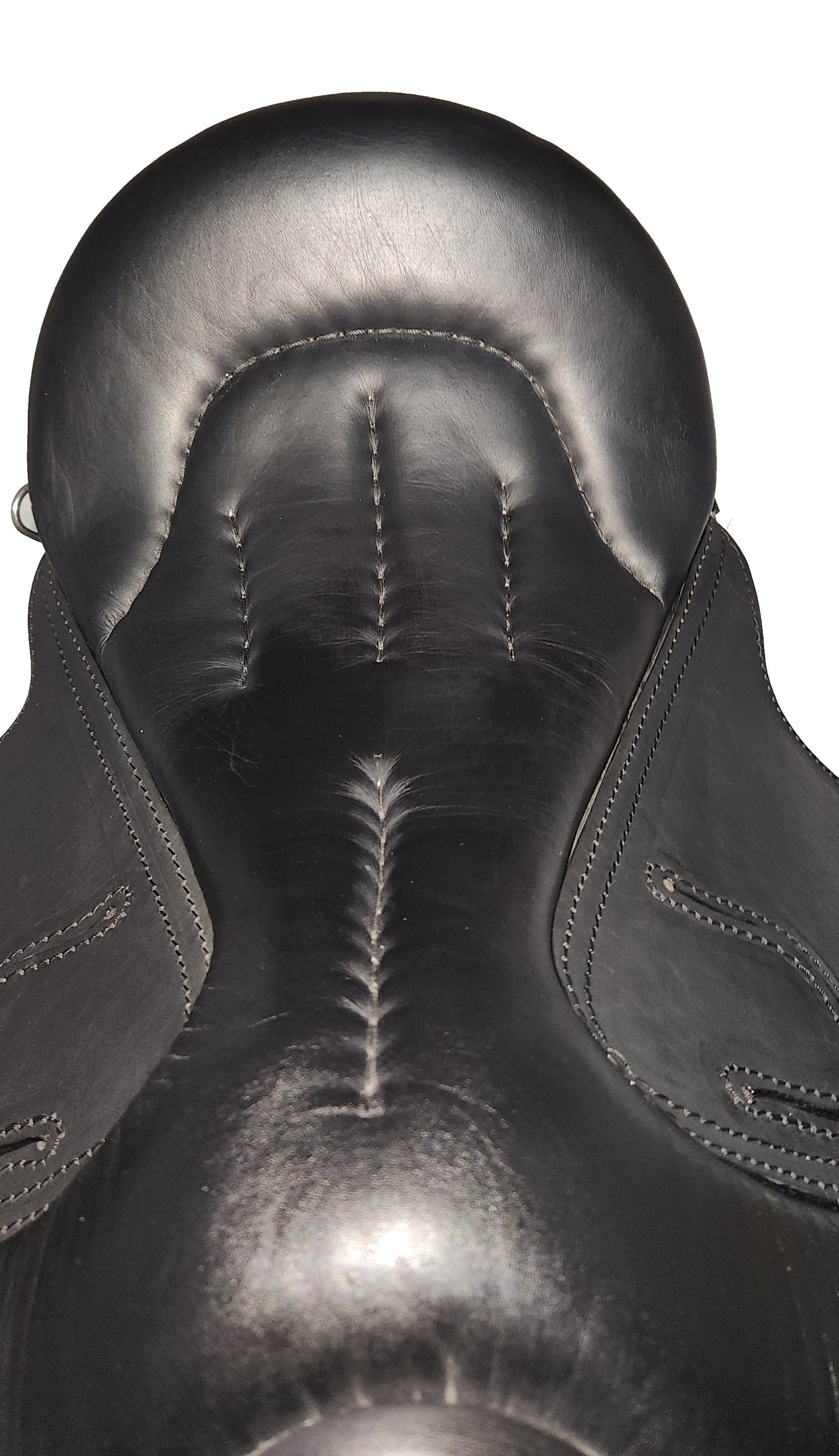 Saddle Show or Endurance 002