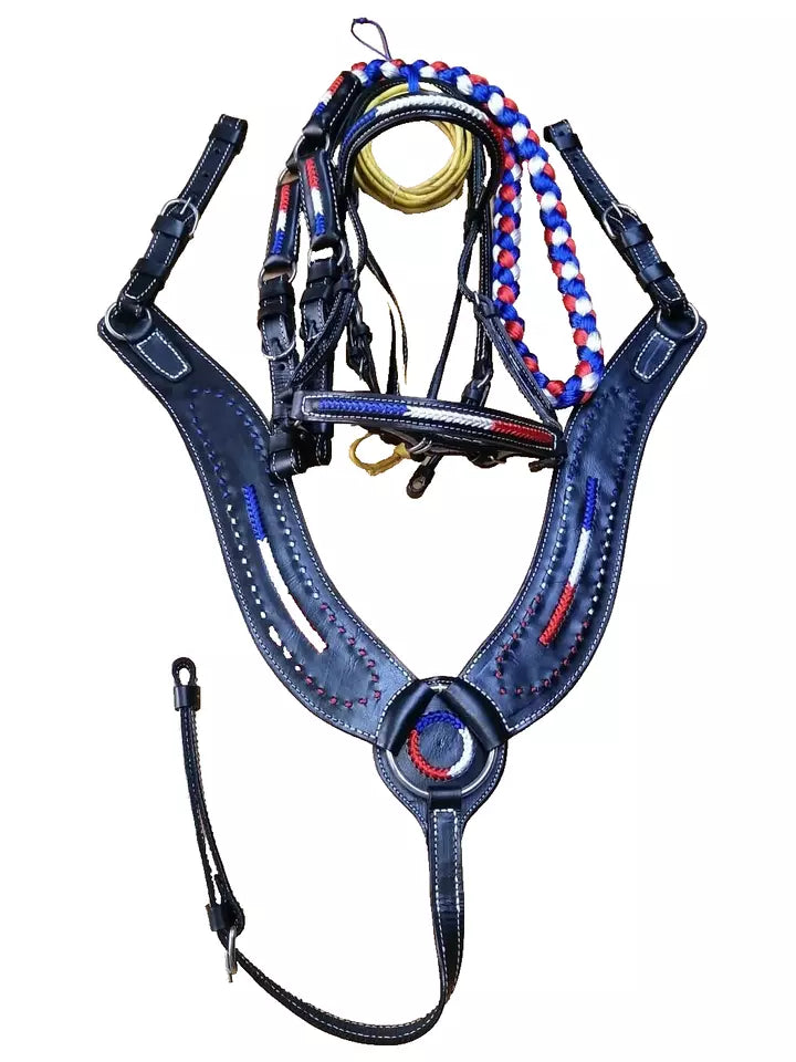 Bridle combo premium 001