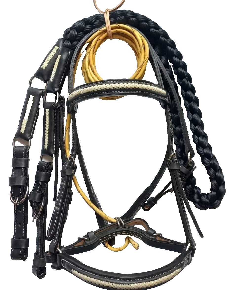 Bridle Set Premium 01
