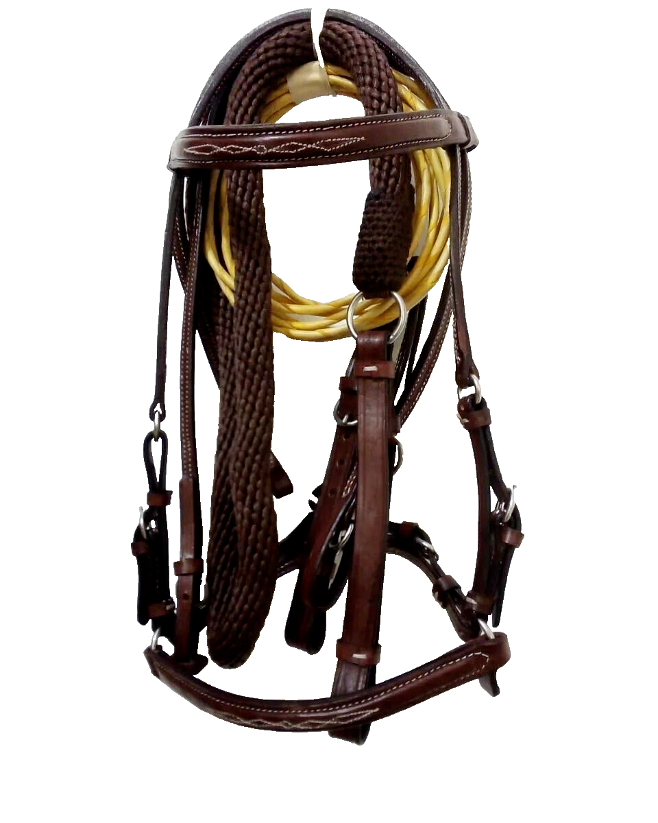 Bridle Set 02