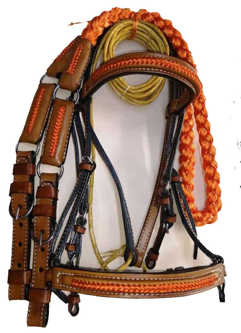 Bridle Set Premium 01