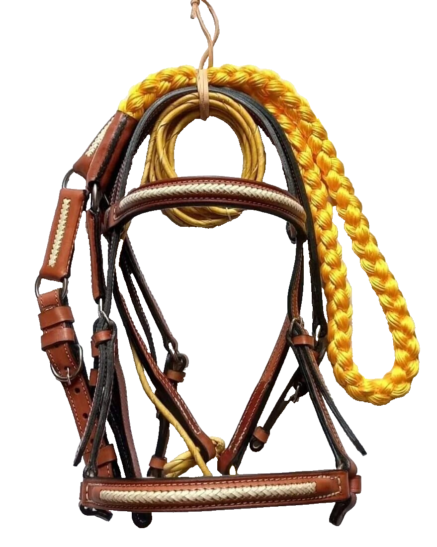 Bridle Set Premium 01