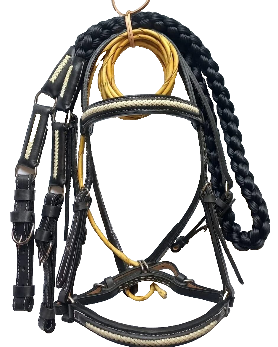 Bridle Set Premium 02