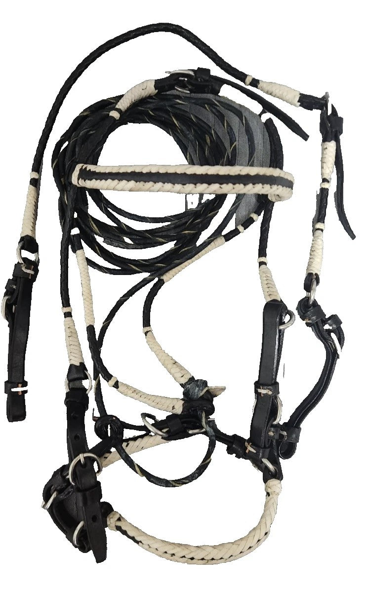 Bridle Show set