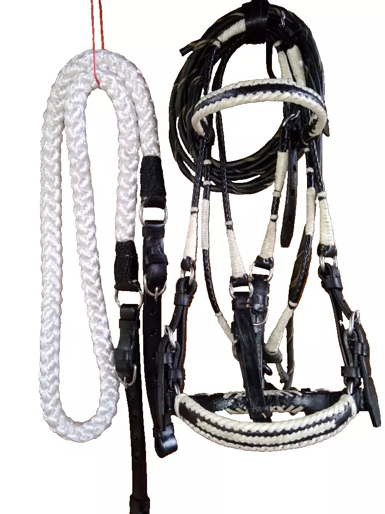 Bridle Show set