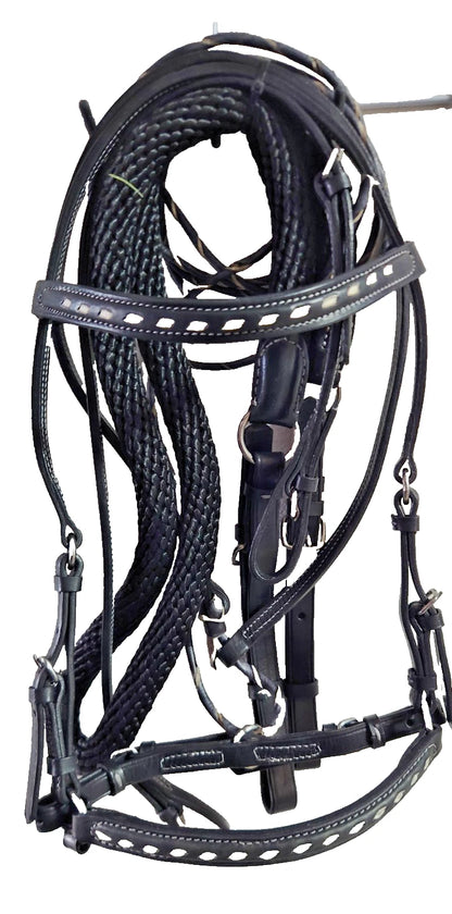 Bridle Set  03